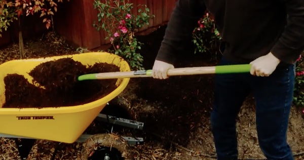 Craftsman 5 Tips for Fall Clean Up